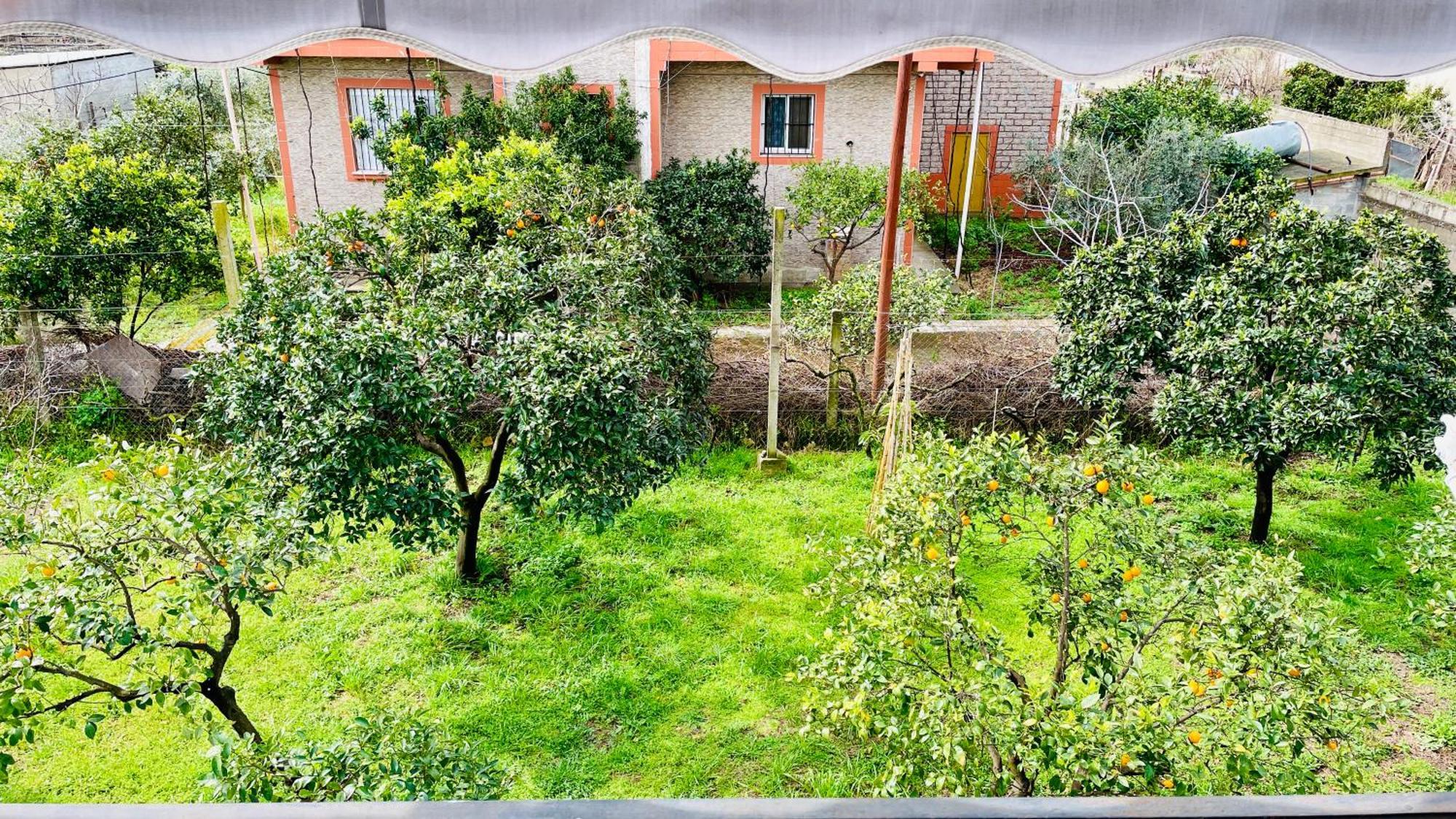 Mia Guest House - Entire Home With Balcony & Garden Divjake Dış mekan fotoğraf